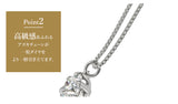 Platinum/0.2ct